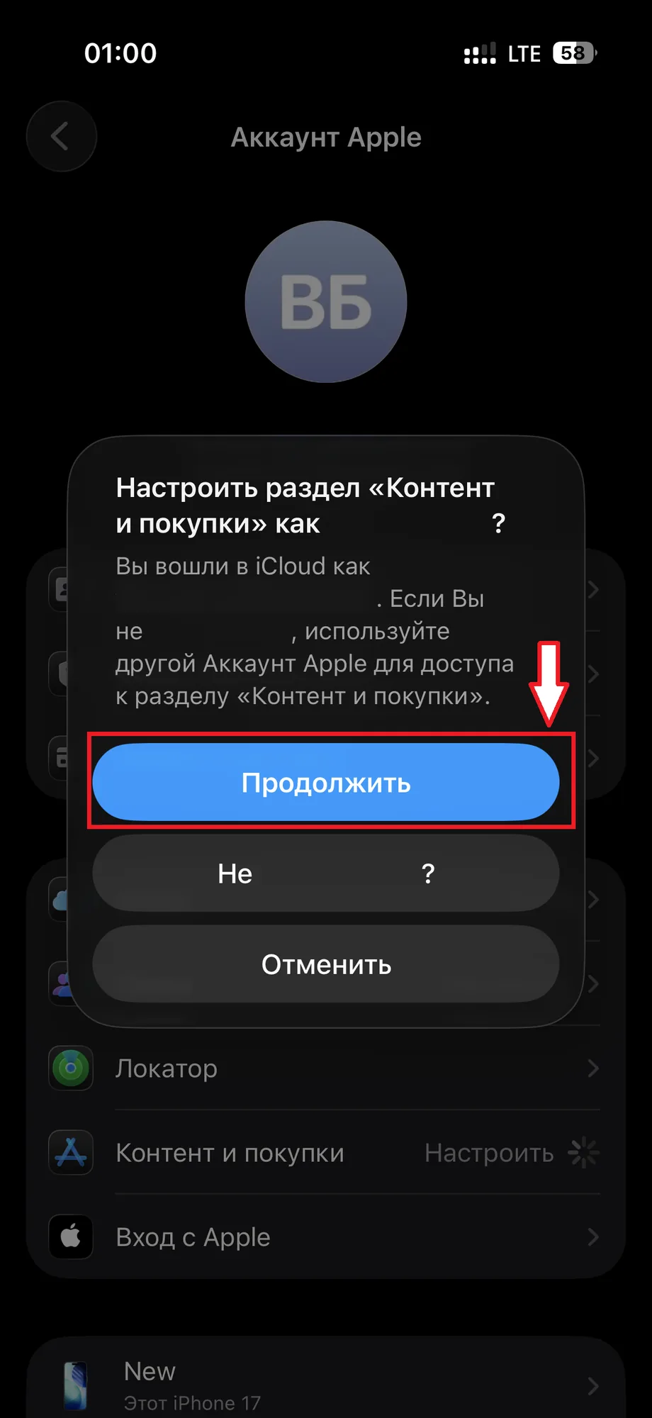 Шаг 12: Нажмите «Продолжить»
